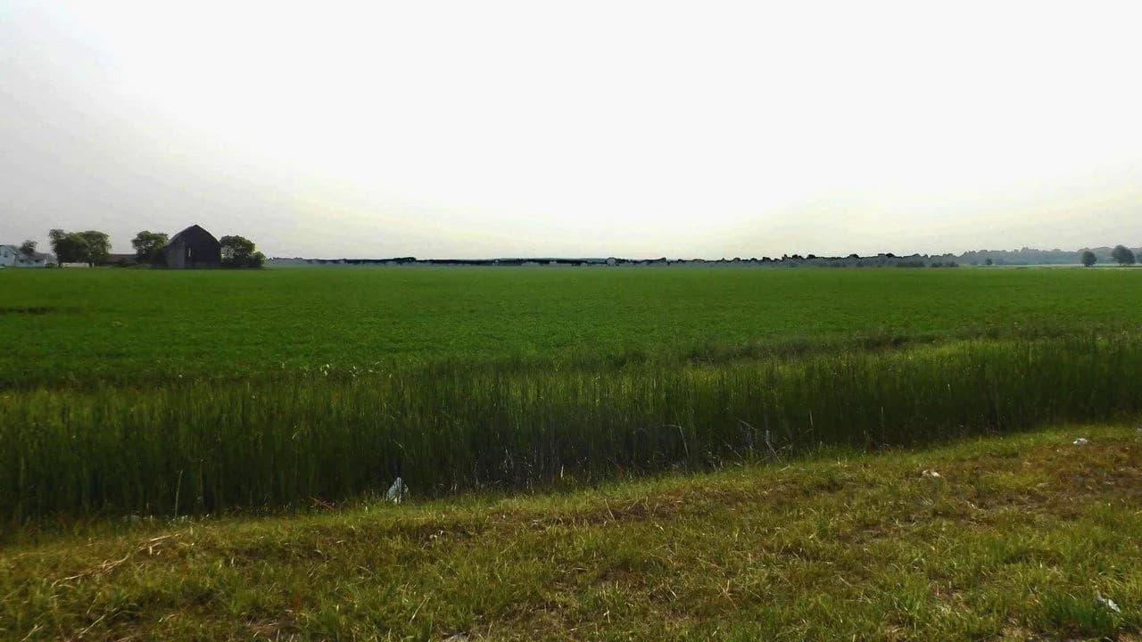 Rural Ontario countryside near a county road intersection, with a farm field and barn under an overcast sky; no people visible